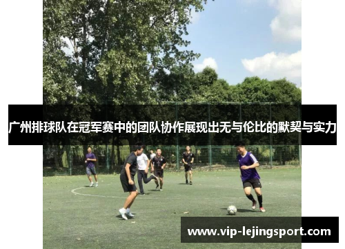 广州排球队在冠军赛中的团队协作展现出无与伦比的默契与实力